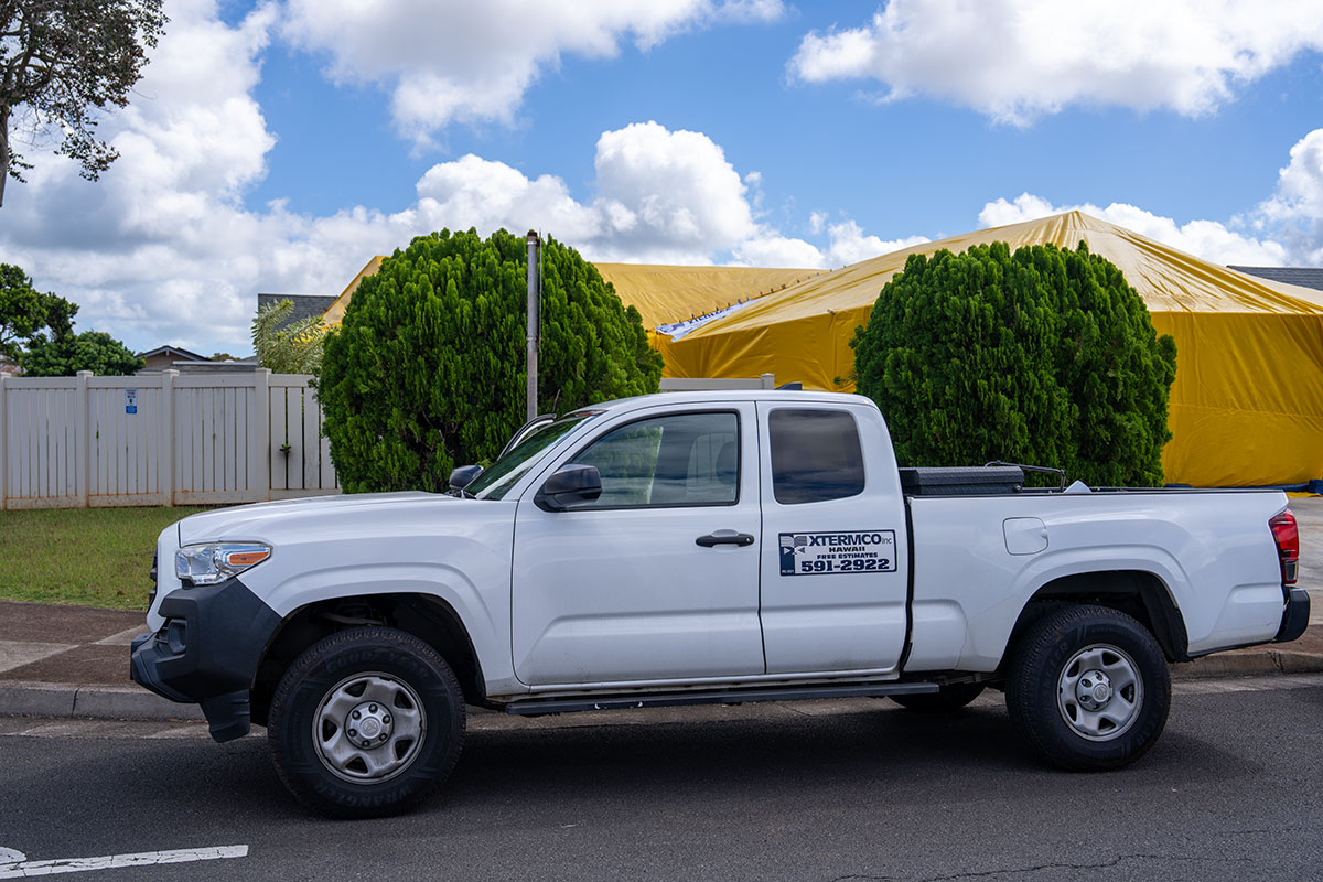 Xtermco
