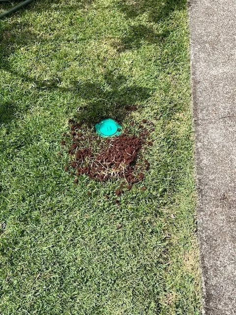 Freshly installed Sentricon® bait station in a lawn area surrounded by mulch.
