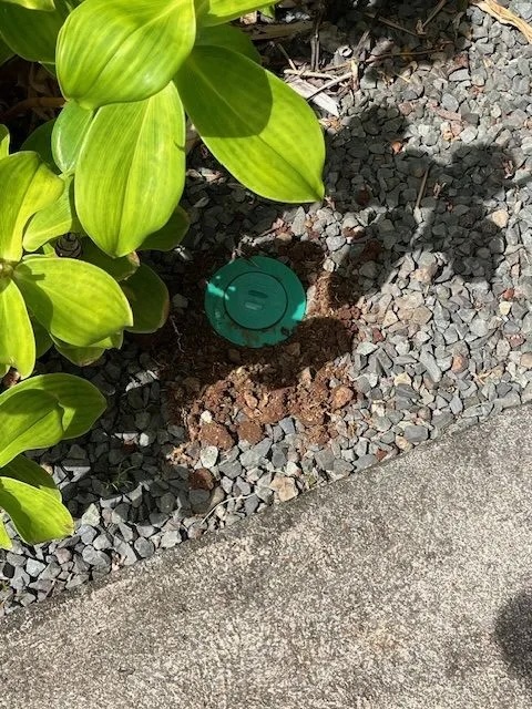 Sentricon® bait station installed in a landscaped area with gravel and tropical plants.