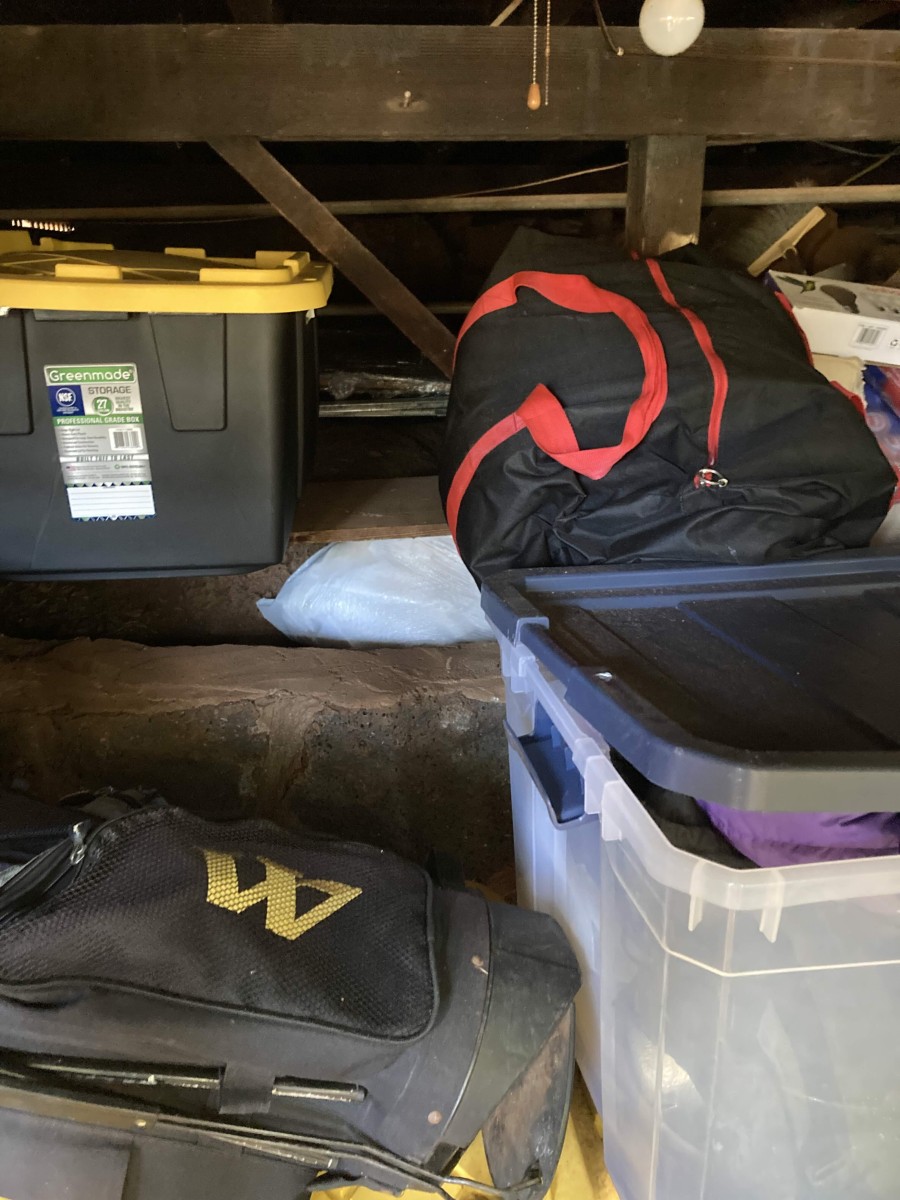 Cluttered Corners: How Untidy Spaces Become Pest Havens