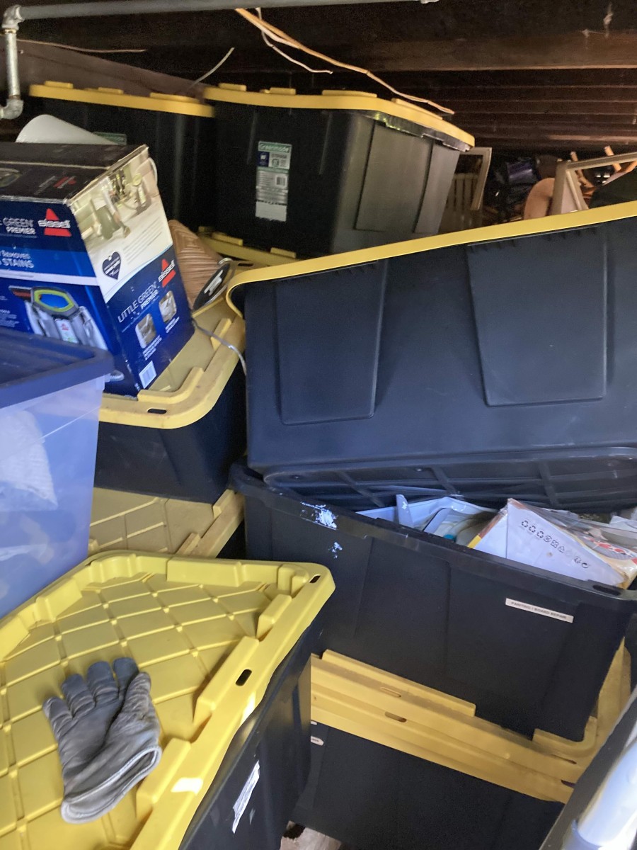 Cluttered Corners: How Untidy Spaces Become Pest Havens