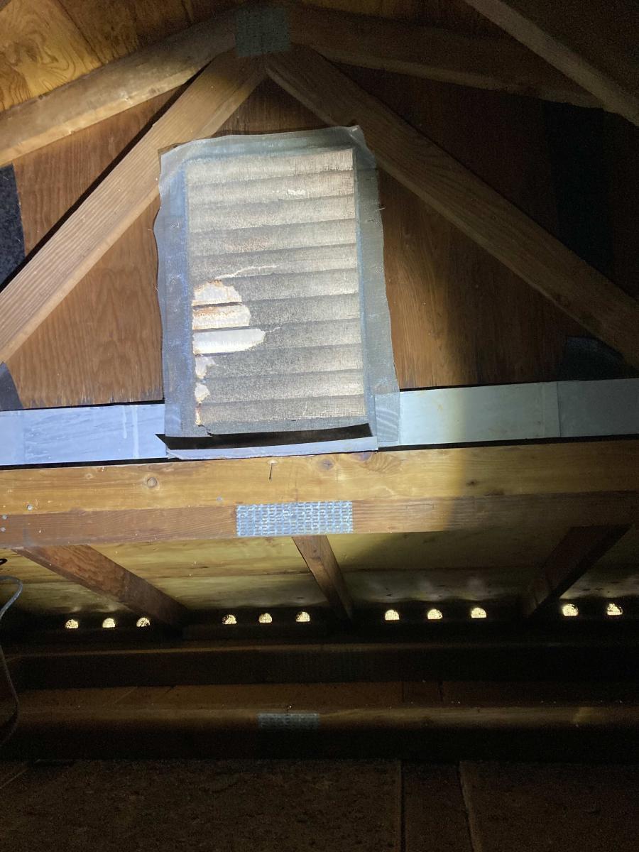 Vulnerable Entry Points – Gable and Roof Vent Screen Damage