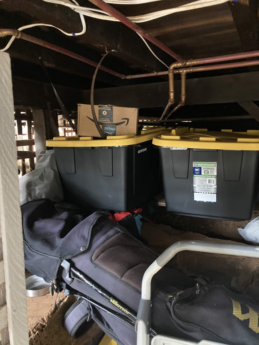Cluttered Corners: How Untidy Spaces Become Pest Havens