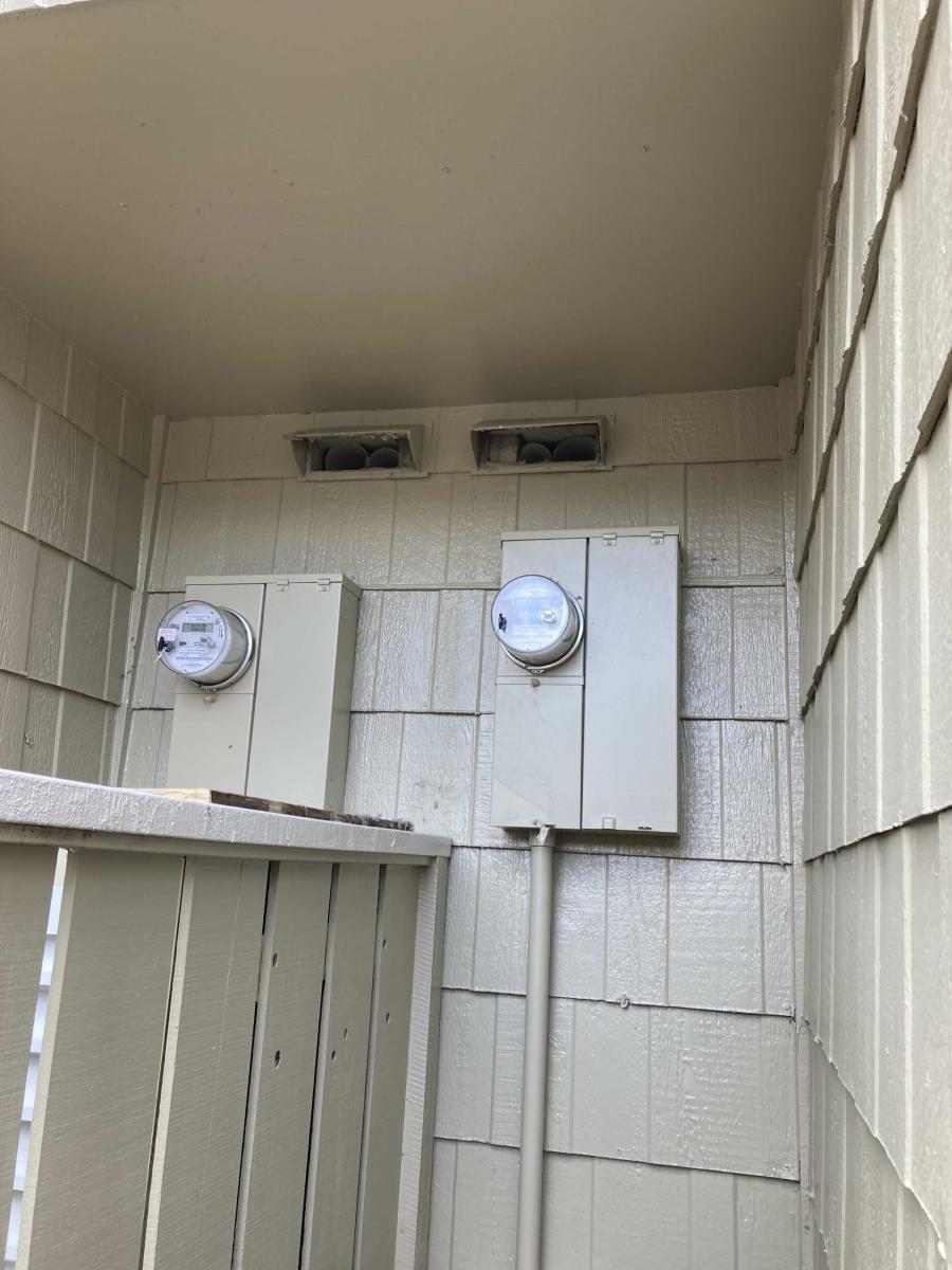 Vulnerable Entry Points – Gable and Roof Vent Screen Damage