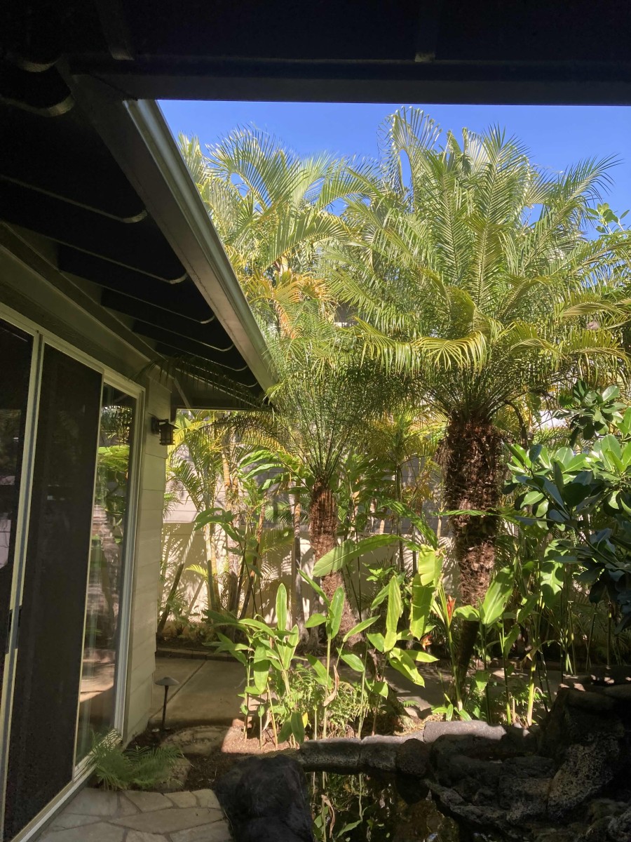 Bridges for Pests: How Overgrown Foliage Invites Infestations