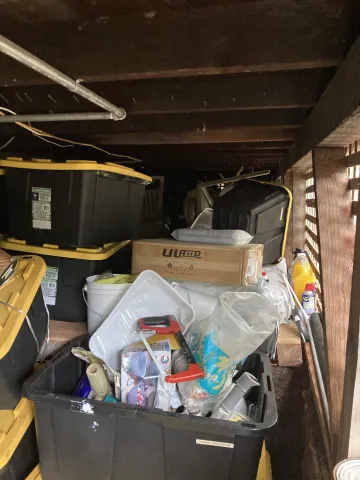 Cluttered Corners: How Untidy Spaces Become Pest Havens