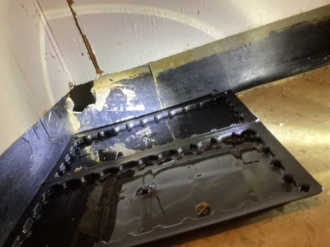 Unwanted Openings: How Gaps in Walls, Ceilings, and Floors Invite Pests
